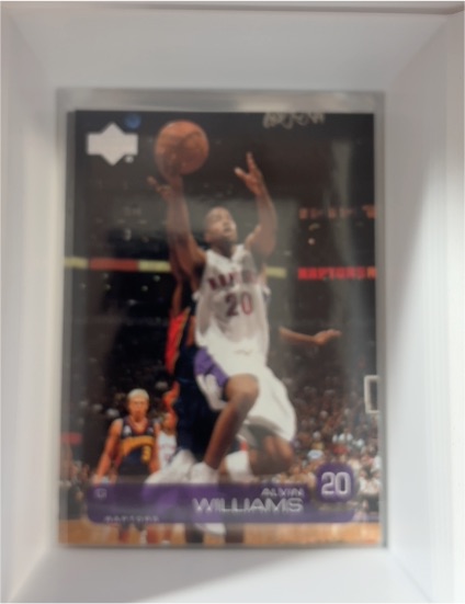 2003-04 Upper Deck #271 Alvin Williams — front
