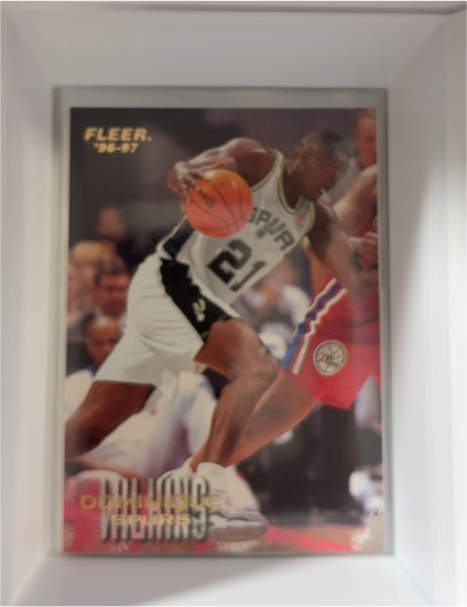1996-97 Fleer #250 Dominique Wilkins — front