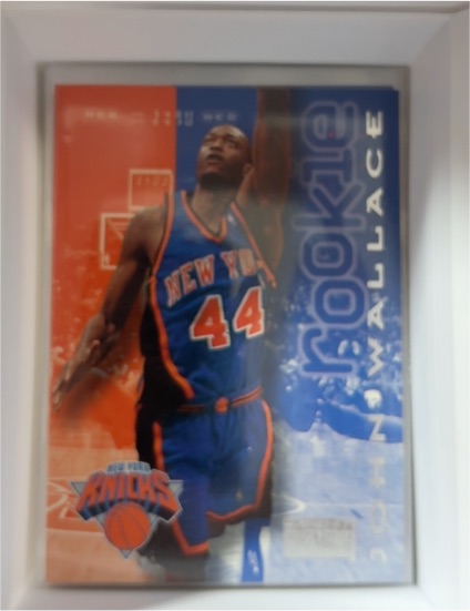 1996-97 SkyBox Premium #237 John Wallace — front