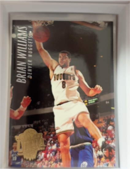 1993-94 Upper Deck Special Edition #54 Brian Williams — front