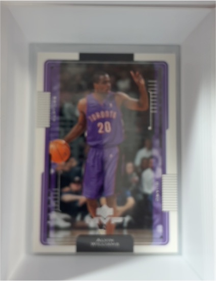 2003-04 Upper Deck Finite #184 Alvin Williams — front