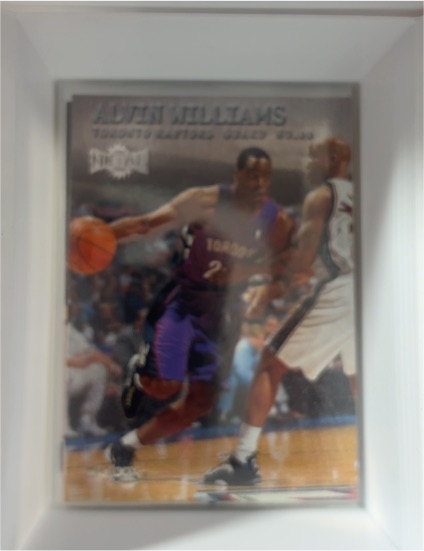 1999-00 Skybox Metal #25 Alvin Williams — front