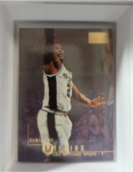 1996-97 SkyBox Premium #187 Dominique Wilkins — front