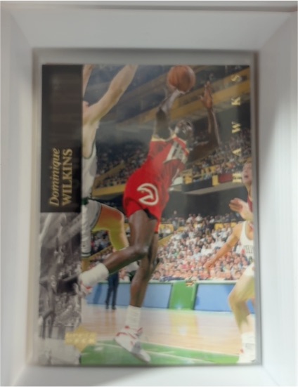 1993-94 Upper Deck #155 Dominique Wilkins — front