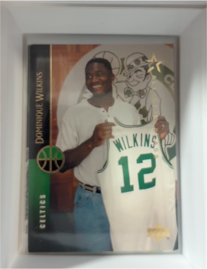 1994-95 Upper Deck #146 Dominique Wilkins Boston Celtics — front