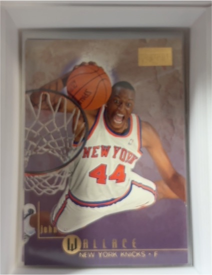 1996-97 SkyBox Premium #79 John Wallace — front
