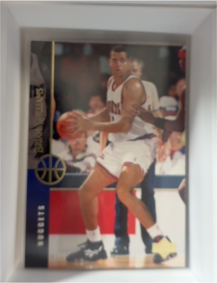 1994-95 Upper Deck #239 Brian Williams — front