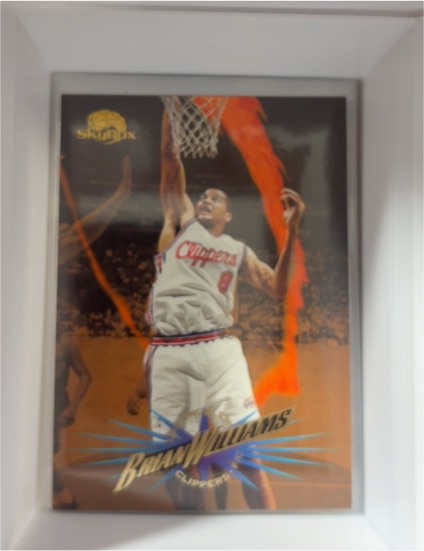 1995-96 SkyBox Premium #180 Brian Williams — front