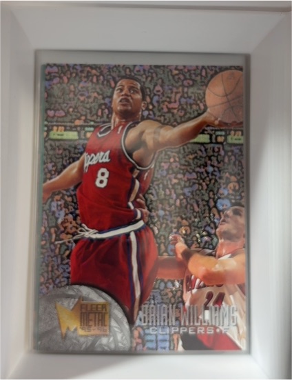 1995-96 Fleer Metal #160 Brian Williams — front