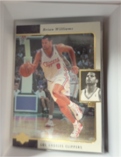 1995-96 Upper Deck SP #63 Brian Williams — front