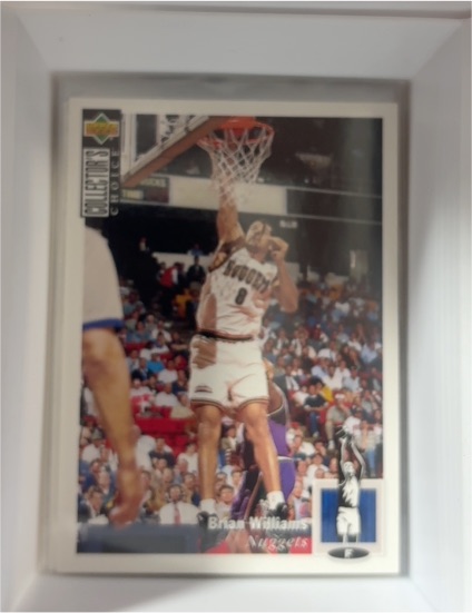 1994-95 Upper Deck Collector's Choice #308 Brian Williams — front