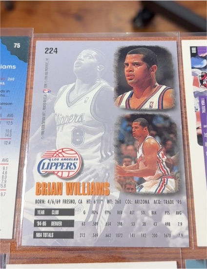 1995-96 Upper Deck #224 Brian Williams — front