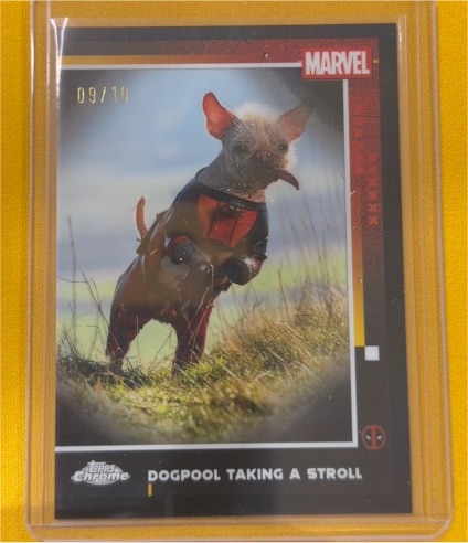 2025 Topps Chrome Deadpool #73 Dogpool Taking A Stroll — front