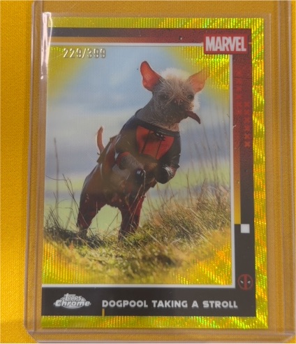 2025 Topps Chrome Deadpool #73 Dogpool Taking A Stroll — front