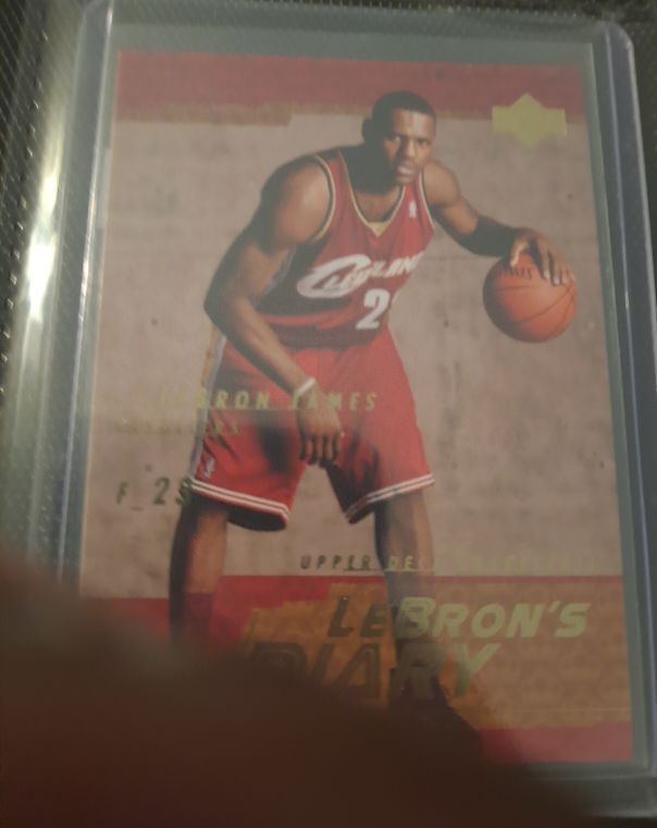 2003-04 Upper Deck LeBron's Diary #LJ13 LeBron James — front