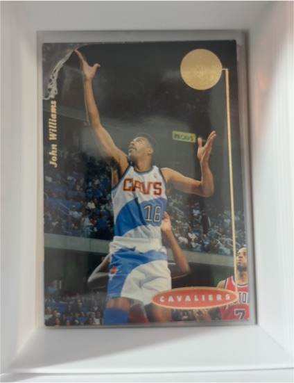 1994-95 SP #54 John Williams — front