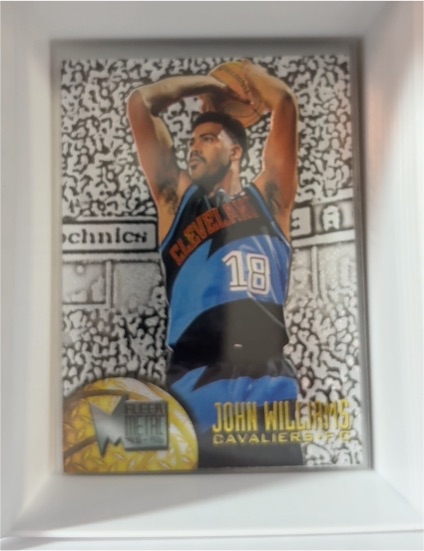 1995-96 Fleer Metal #19 John Williams — front