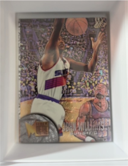 1995-96 Fleer Metal #182 John Williams — front