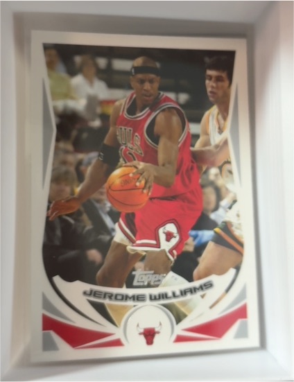 2004-05 Topps #134 Jerome Williams — front