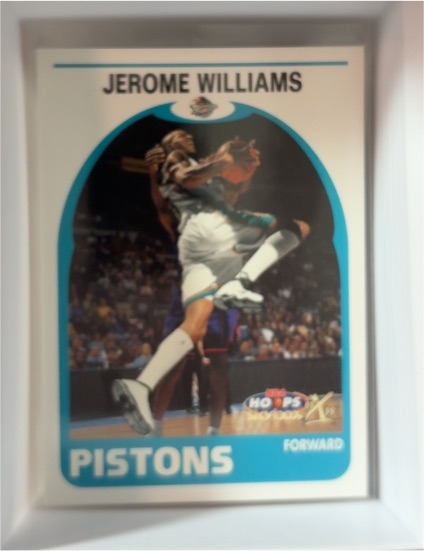 1999-00 Skybox NBA Hoops Decade #75 Jerome Williams — front
