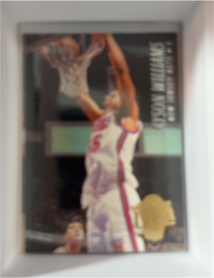 1995-96 Upper Deck Special Edition #SE141 Jayson Williams — front