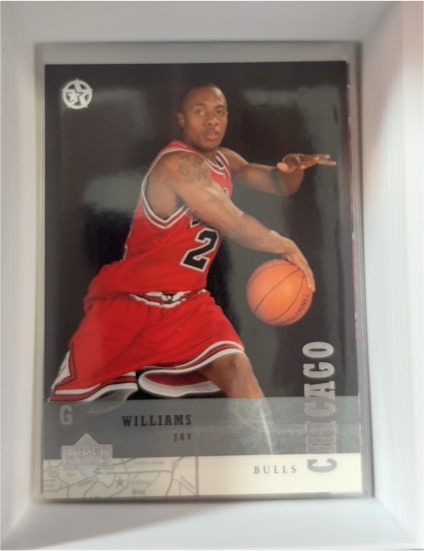 2002-03 Upper Deck SuperStars Spokesmen #UD25 Jay Williams — front
