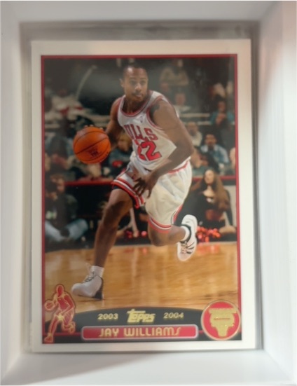 2003-04 Topps #22 Jay Williams — front