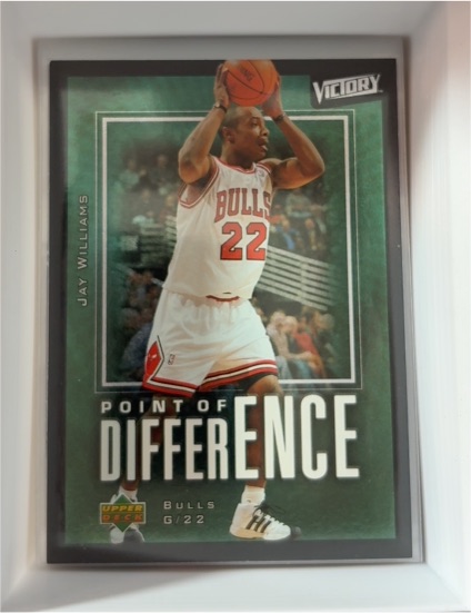 2003-04 Upper Deck Victory #201 Jay Williams — front