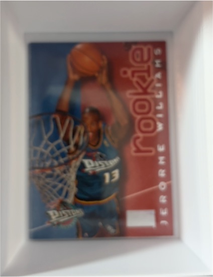 1996-97 Skybox Premium #238 Jerome Williams Rookie — front