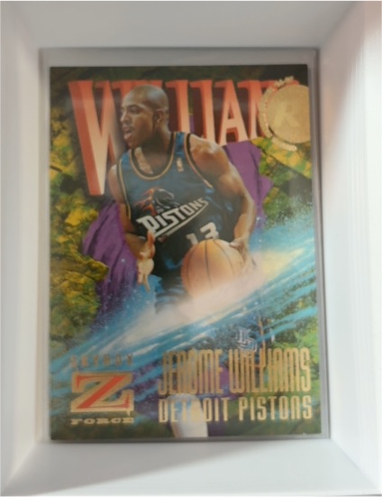 1996-97 SkyBox Z-Force #167 Jerome Williams — front