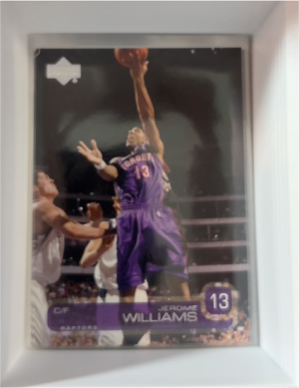 2002-03 Upper Deck #166 Jerome Williams — front