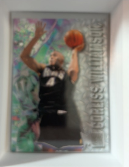 1996-97 Fleer Metal #210 Corliss Williamson — front
