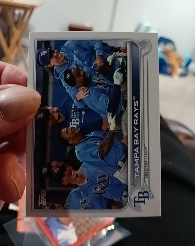 2022 Topps Series 1 #274 Tampa Bay Rays Team Card — front