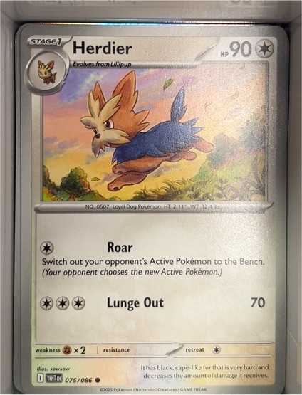 2025 Pokémon SV: White Flare #075 Herdier — front