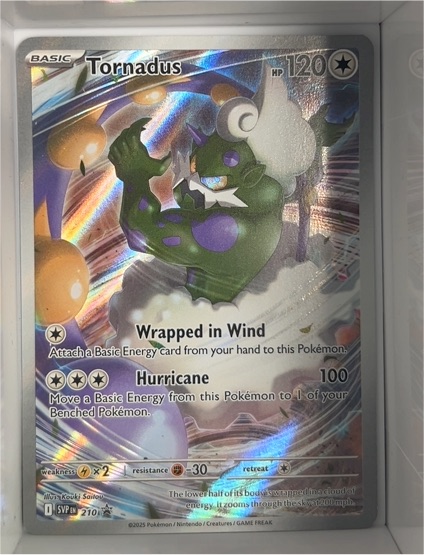 2025 Pokémon SV Black Star Promo #210 Tornadus — front