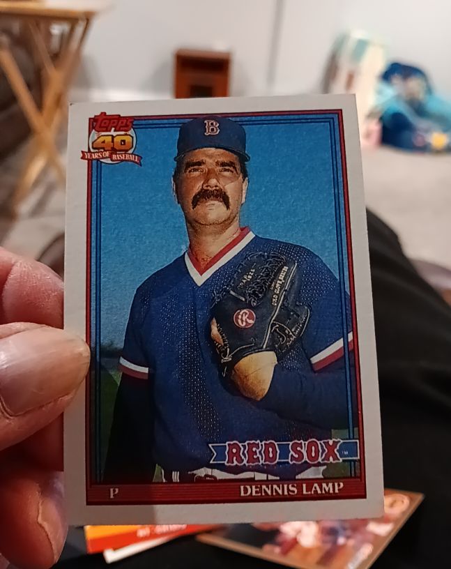 1991 Topps #14 Dennis Lamp — front
