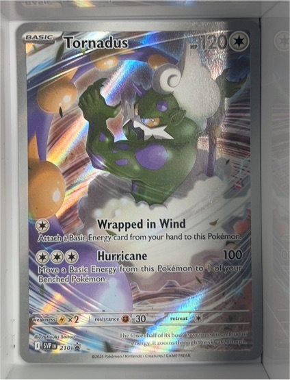2025 Pokémon SV: Scarlet & Violet Promo #210 Tornadus — front