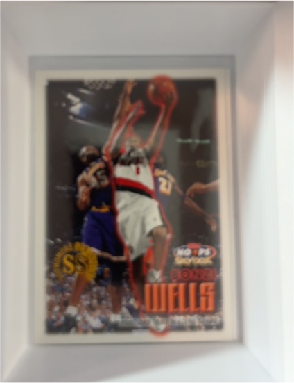 1999-00 Skybox NBA Hoops #106 Bonzi Wells — front