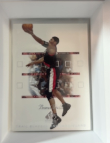Brandon Roy Portland Trail Blazers Framed Photo — front