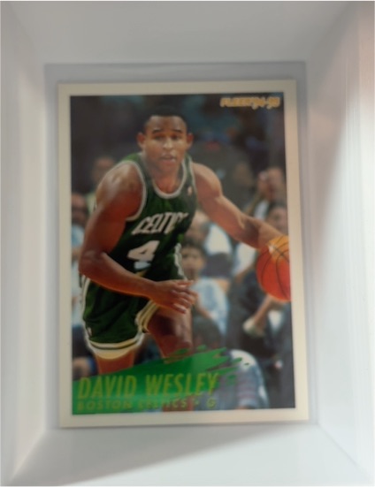 1994 Fleer #251 David Wesley — front