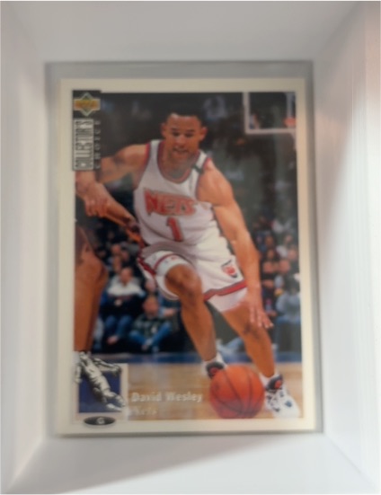 1994-95 Upper Deck Collector's Choice #112 David Wesley — front