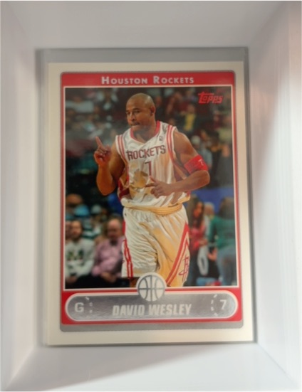 2006-07 Topps #184 David Wesley — front