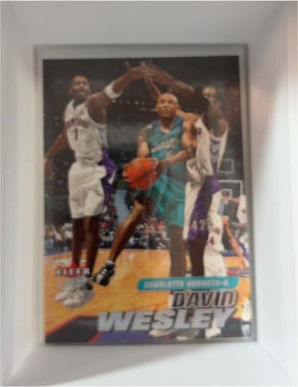 2000-01 Fleer #16 David Wesley — front