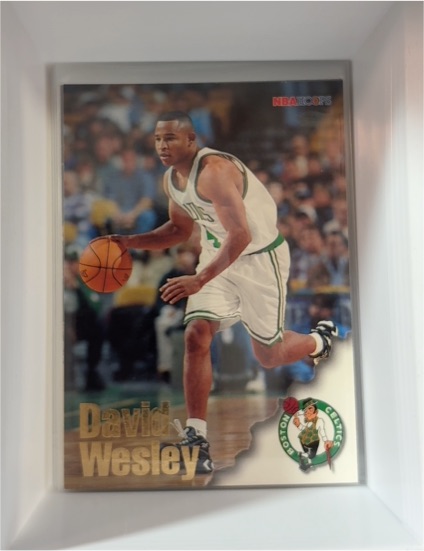1996-97 NBA Hoops #203 David Wesley — front