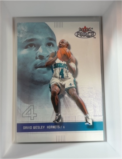 2001-02 Fleer Force #49 David Wesley — front