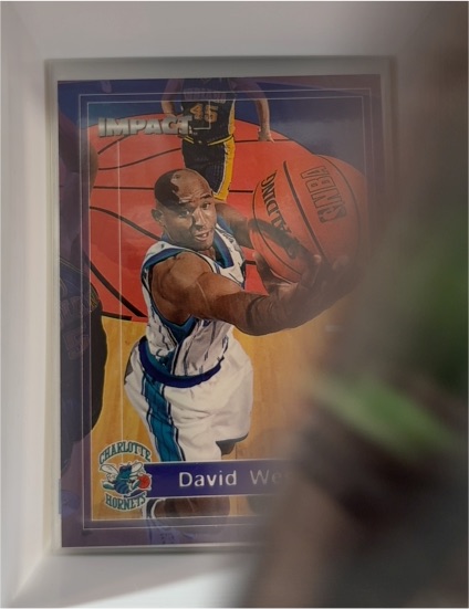 1999-00 SkyBox Impact #96 David Wesley — front