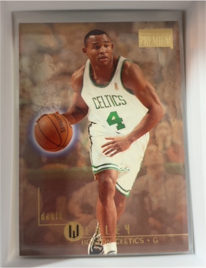 1996-97 SkyBox Premium #137 David Wesley — front