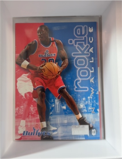 1996-97 SkyBox Premium #236 Ben Wallace Rookie — front