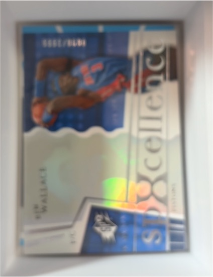 2003-04 SPx SPxcellence #120 Ben Wallace — front