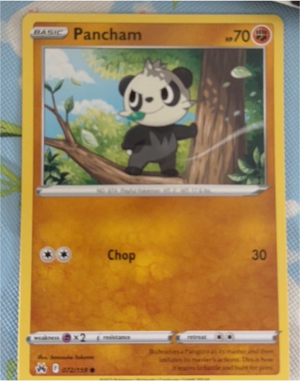 2022 Pokémon Crown Zenith #072 Pancham — front
